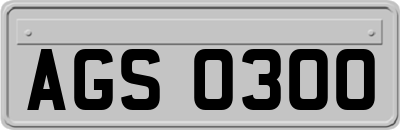 AGS0300