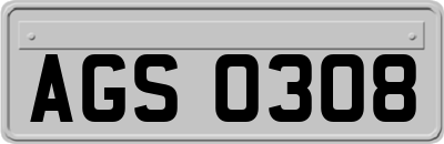 AGS0308