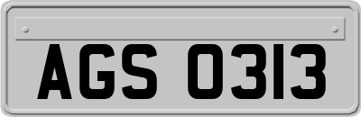AGS0313