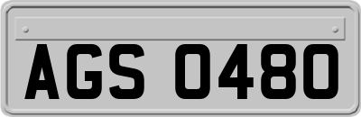 AGS0480