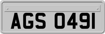 AGS0491