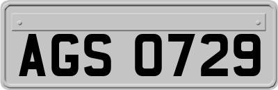 AGS0729