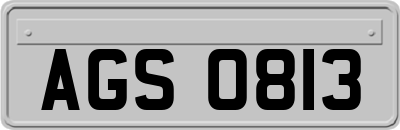 AGS0813