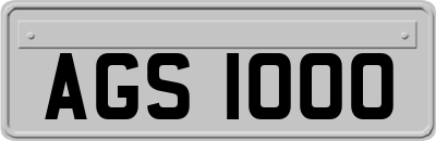 AGS1000