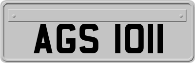 AGS1011