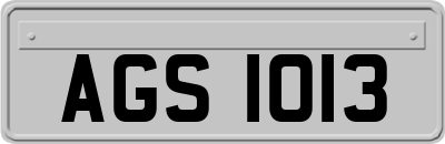 AGS1013