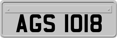 AGS1018