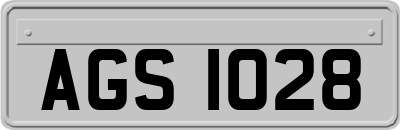 AGS1028