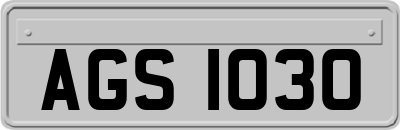 AGS1030