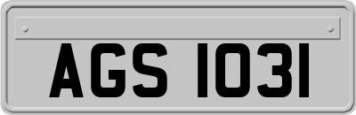 AGS1031