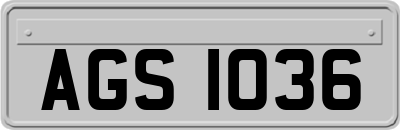 AGS1036