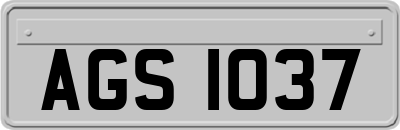 AGS1037