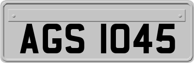 AGS1045