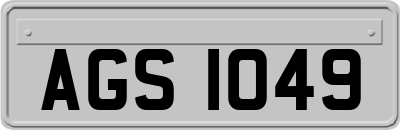 AGS1049