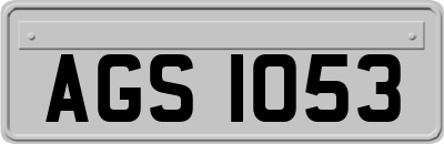 AGS1053