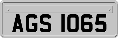 AGS1065