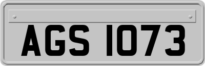 AGS1073