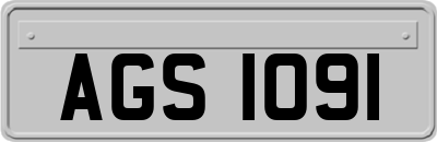AGS1091
