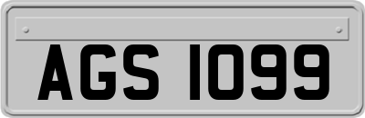 AGS1099