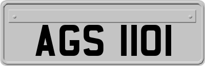 AGS1101