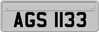 AGS1133
