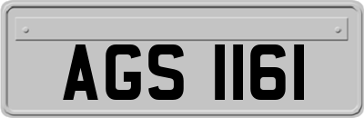 AGS1161