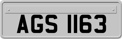AGS1163
