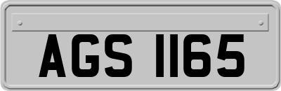 AGS1165