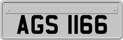 AGS1166