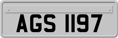 AGS1197