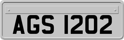 AGS1202