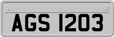 AGS1203