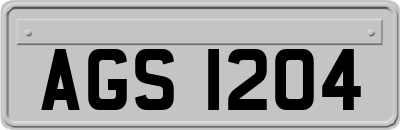 AGS1204