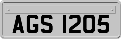 AGS1205