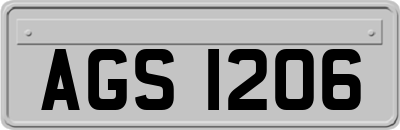 AGS1206