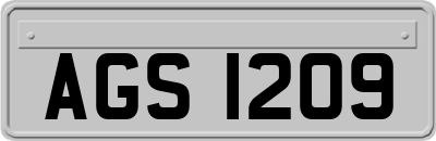 AGS1209