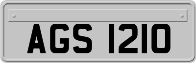 AGS1210