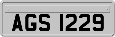 AGS1229