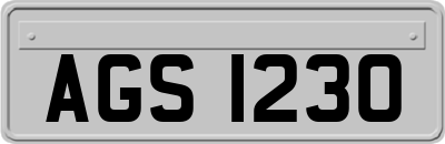 AGS1230