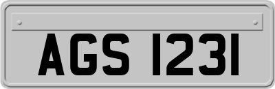 AGS1231