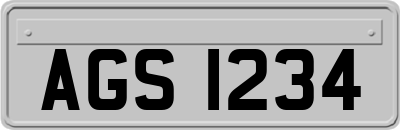 AGS1234