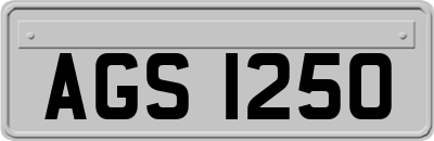 AGS1250