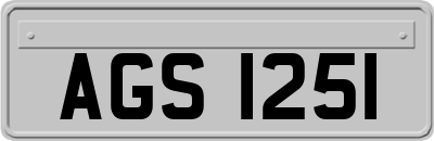 AGS1251