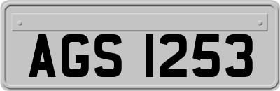 AGS1253