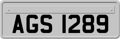 AGS1289