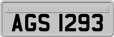 AGS1293