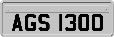 AGS1300