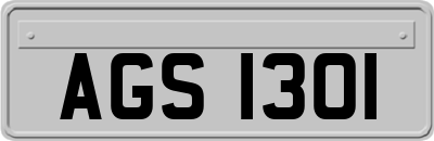 AGS1301