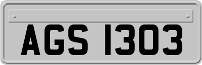 AGS1303