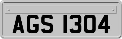 AGS1304